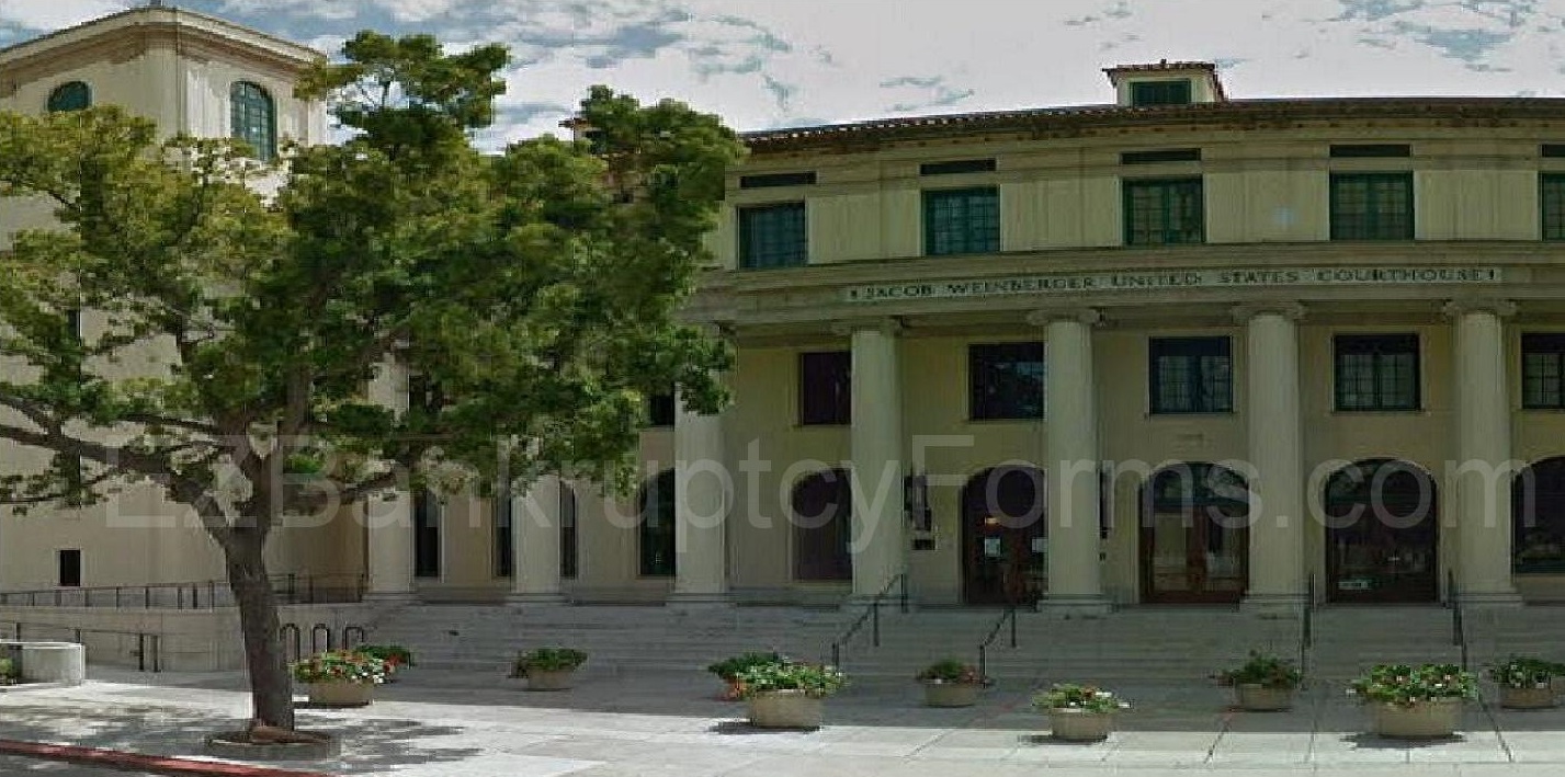 Chula Vista Bankruptcy Court